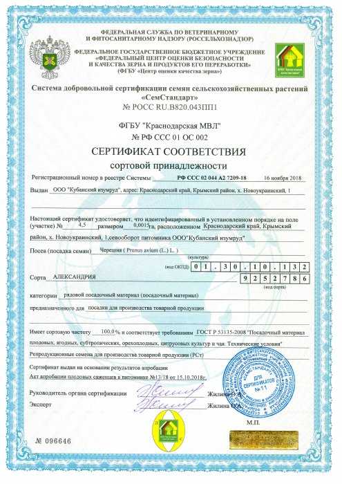 Сертификат сортосоответствия Сертификат сортосоответствия