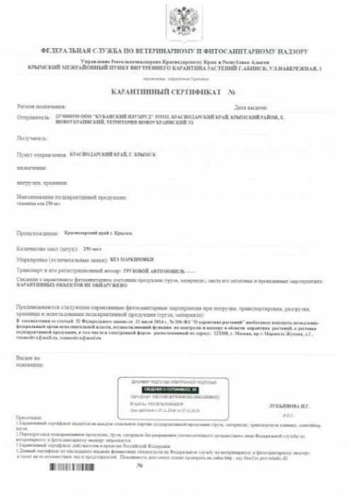 Образец карантинного сертификата Образец карантинного сертификата