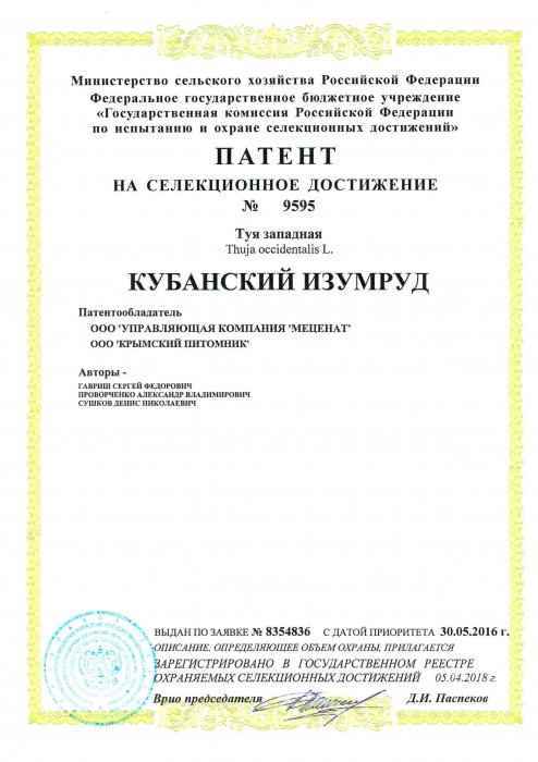 Патент на селекционное достижение "КУБАНСКИЙ ИЗУМРУД" Патент на селекционное достижение "КУБАНСКИЙ ИЗУМРУД"