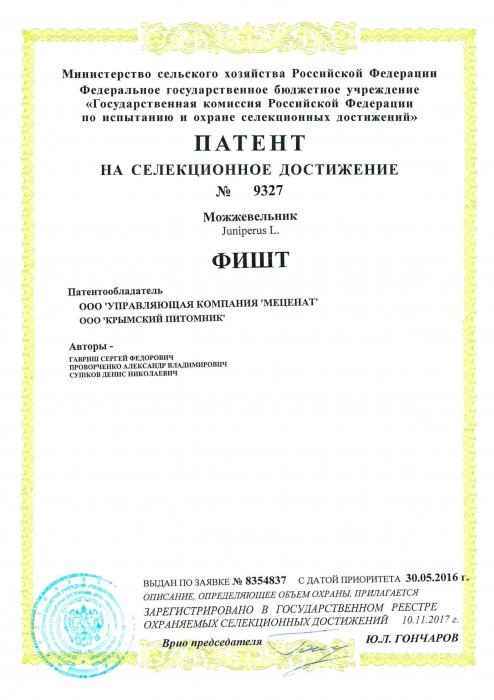 Патент на селекционное достижение "ФИШТ" Патент на селекционное достижение "ФИШТ"